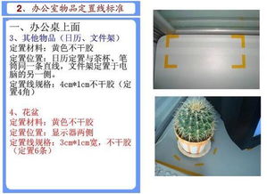办公室5s管理大全 100张图解