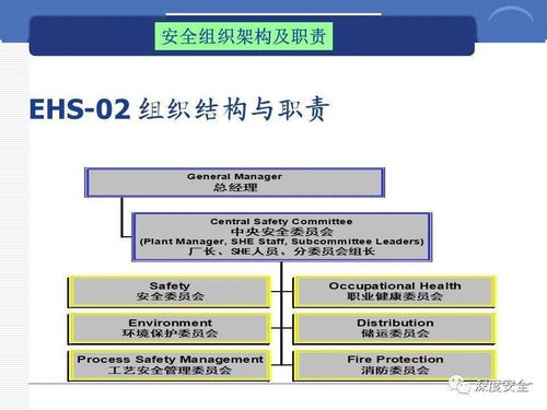 精品ppt 跨国公司安全管理文化分享