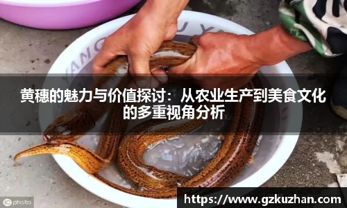 奇亿娱乐新版本
